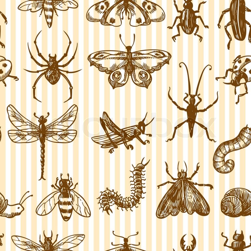 800x800 Insects Sketch Monochrome Decorative Seamless Pattern With Snail - Centipede Sketch