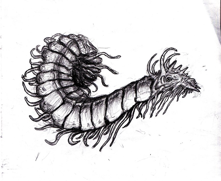 900x741 Lovecraft - Centipede Sketch