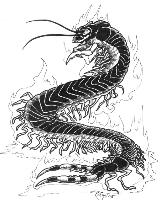 533x666 Tremorworks Centipede Bw By Rachaelm5 - Centipede Sketch