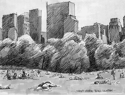 432x329 Red Baron Media - Central Park Sketch