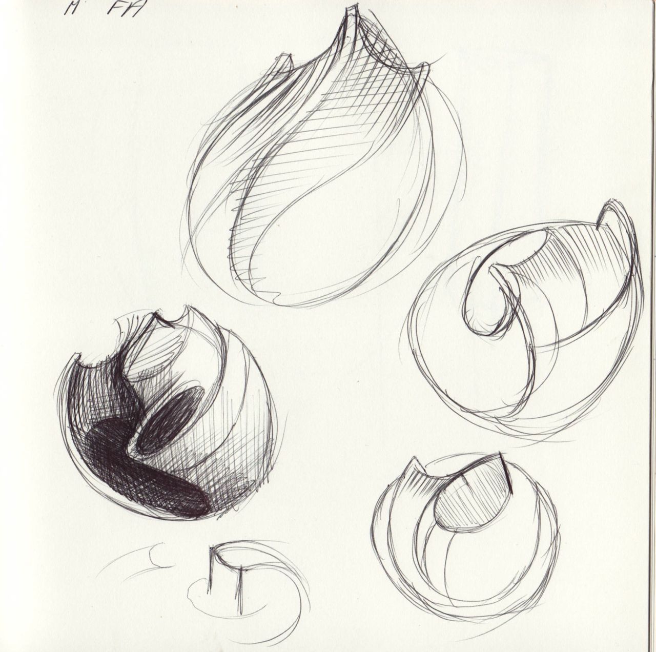 Ceramic Sketches at Explore collection of Ceramic Sketches