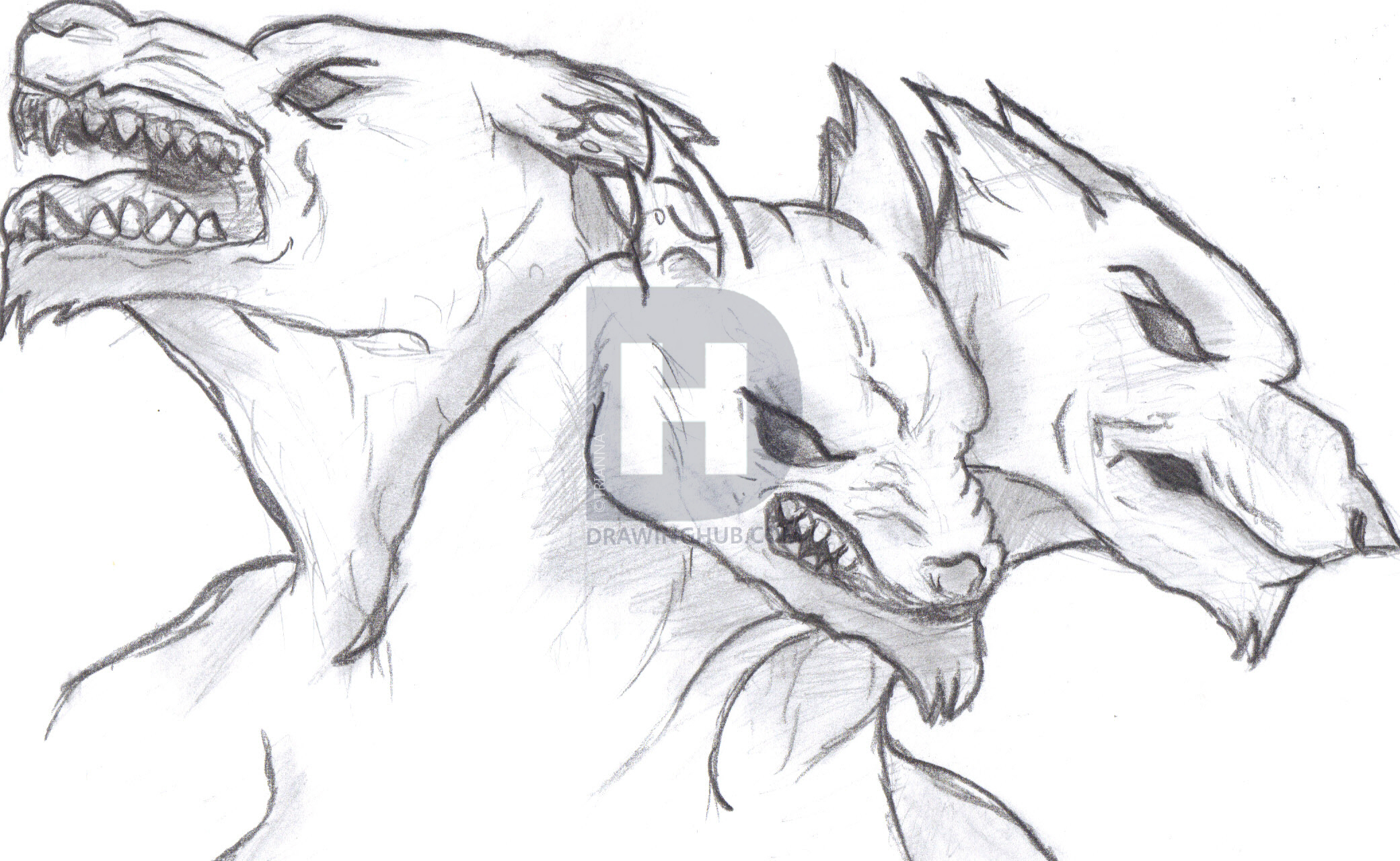 2081x1280 Cerberus Drawing By Trianna Drawinghub - Cerberus Sketch