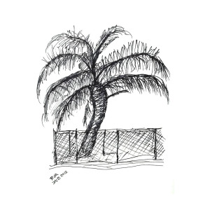 300x300 Palm Tree With Chain Link Fence Drawing By J Nell Bliss - Chain Link Fence Sketch