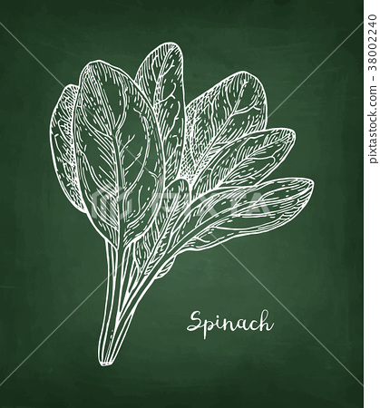 419x450 Chalk Sketch Of Spinach. - Chalk Sketch