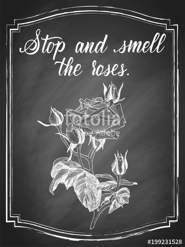 375x500 Hand Drawn Rose Flower Chalk Sketch, With White Lettering Slogan - Chalk Sketch