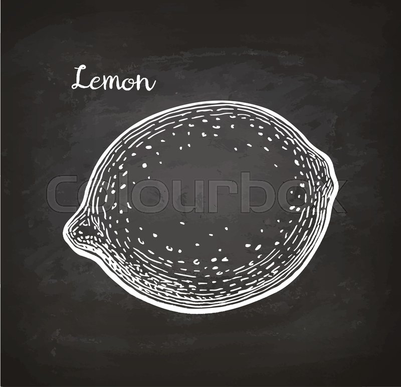 800x772 Lemon. Chalk Sketch On Blackboard. Hand Drawn Vector Illustration - Chalk Sketch