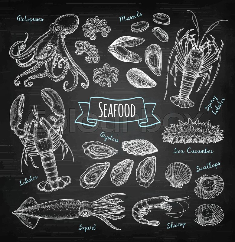 777x800 Seafood Big Set. Chalk Sketch On Blackboard Background. Hand Drawn - Chalk Sketch