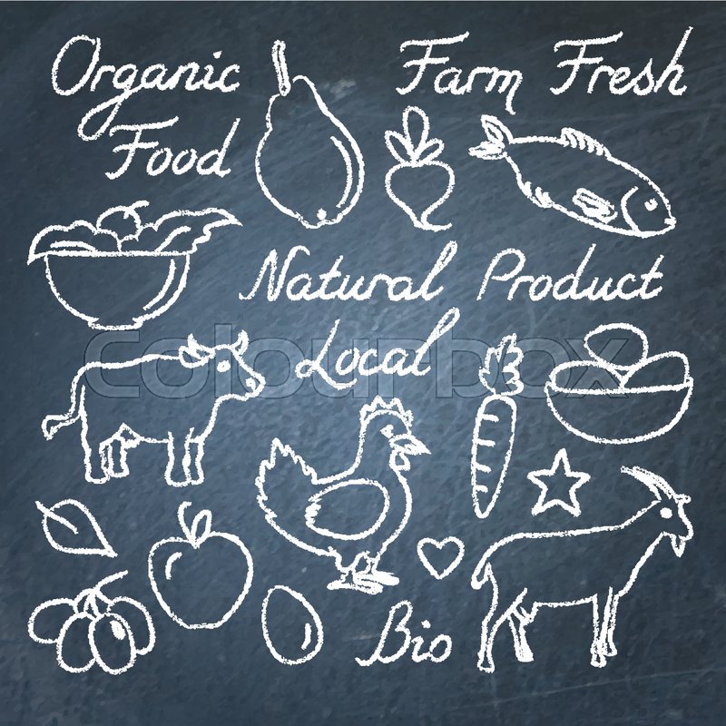800x800 Set Of Hand Drawn Eco Food Sketches And Lettering On Chalkboard - Chalkboard Sketches
