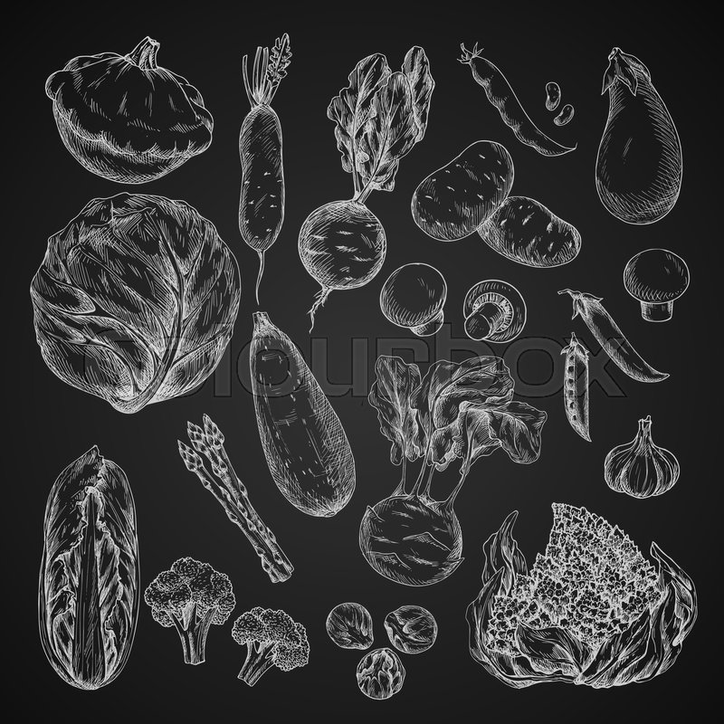 800x800 Vegetables Sketches On Chalkboard. Cabbage And Garlic, Broccoli - Chalkboard Sketches