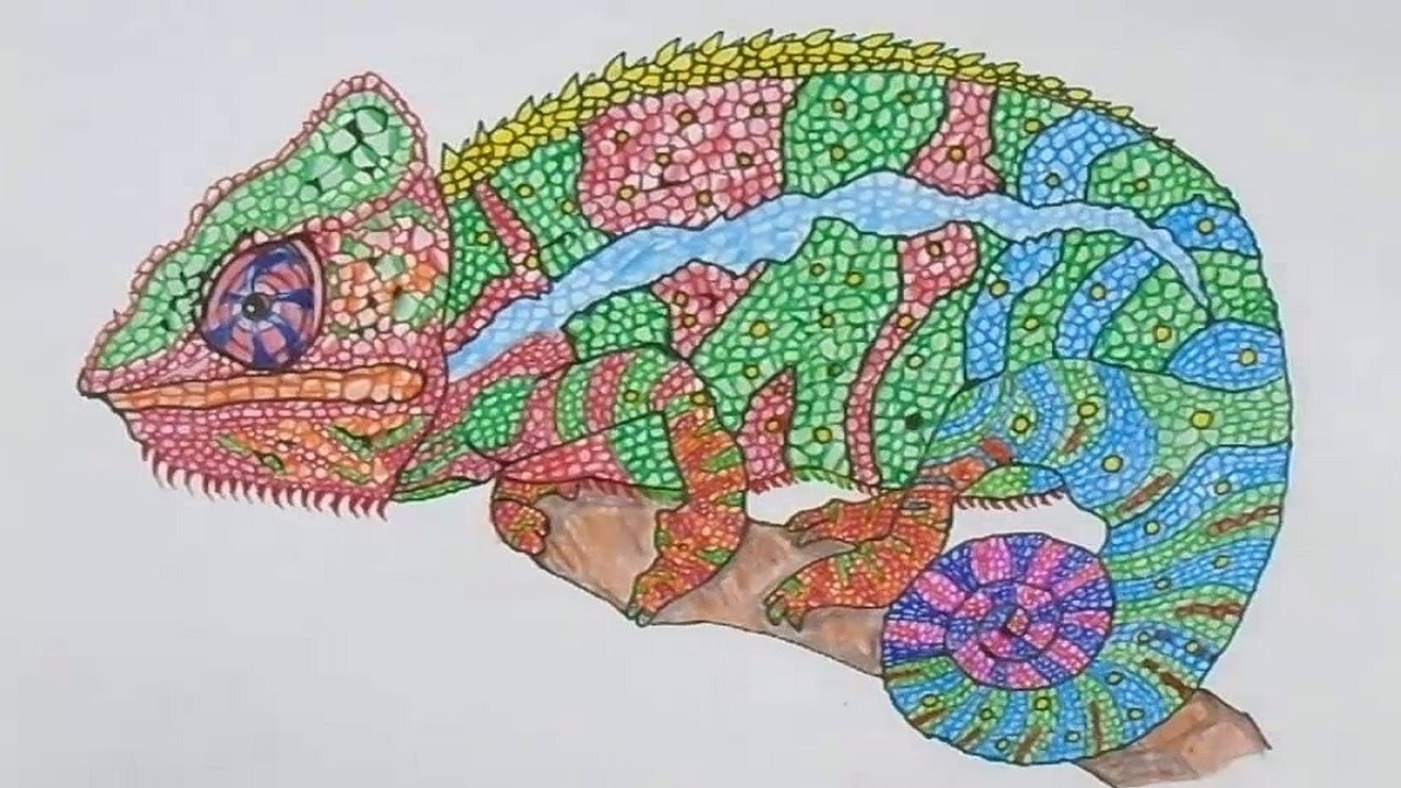 1280x720 How To Draw Chameleon - Chameleon Sketch