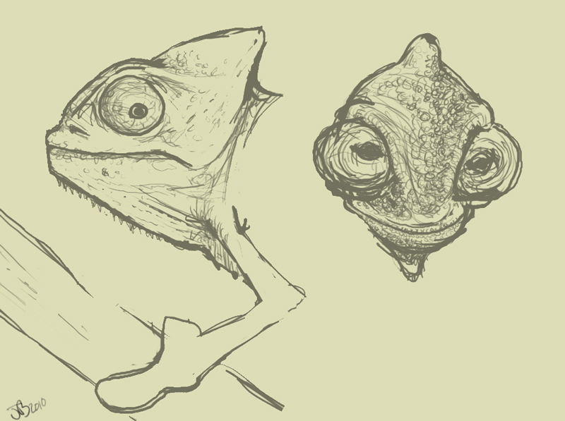 800x597 Kill A Clown Chameleon Sketch - Chameleon Sketch