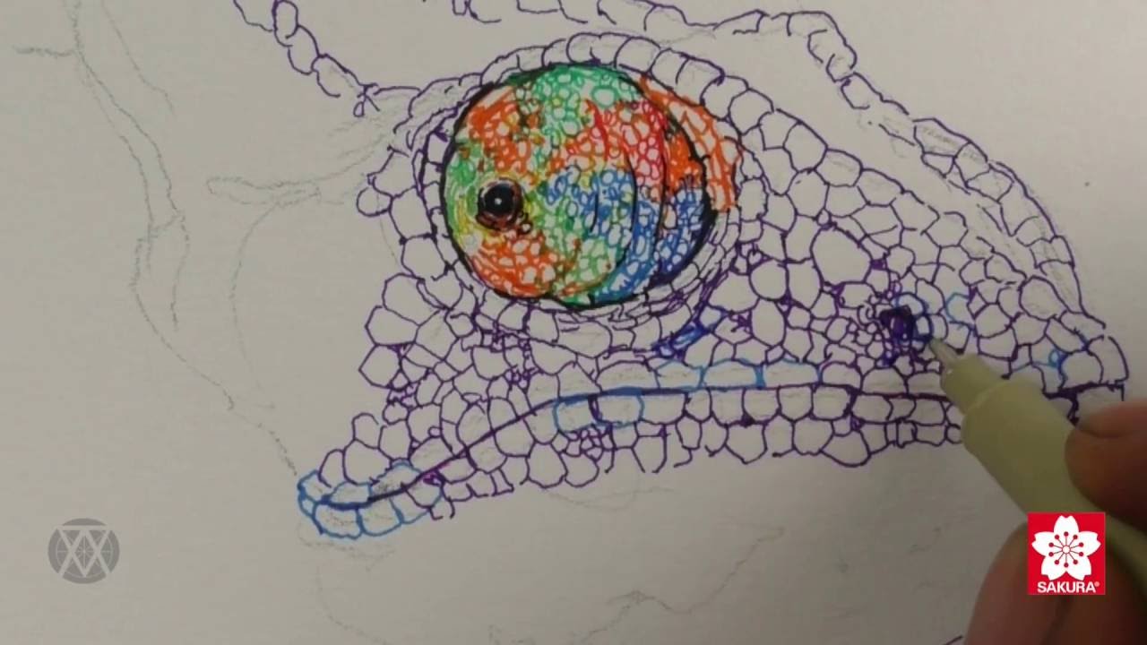 1280x720 Learn To Draw A Colorful Chameleon - Chameleon Sketch
