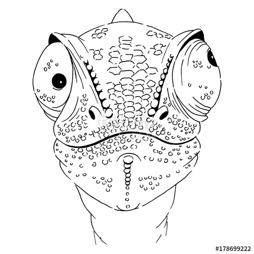 500x500 Chameleon Graphic Linear Vector Sketch Stock Image And Royalty - Chameleon Sketch