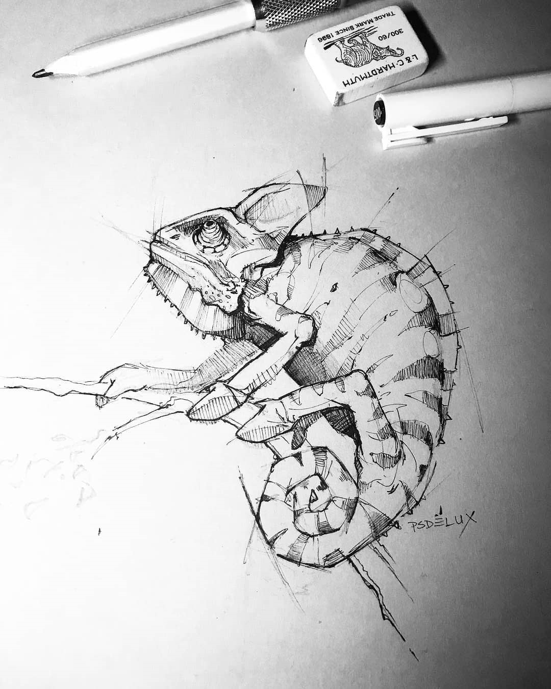 1080x1350 Chameleon Sketch Type Gang - Chameleon Sketch