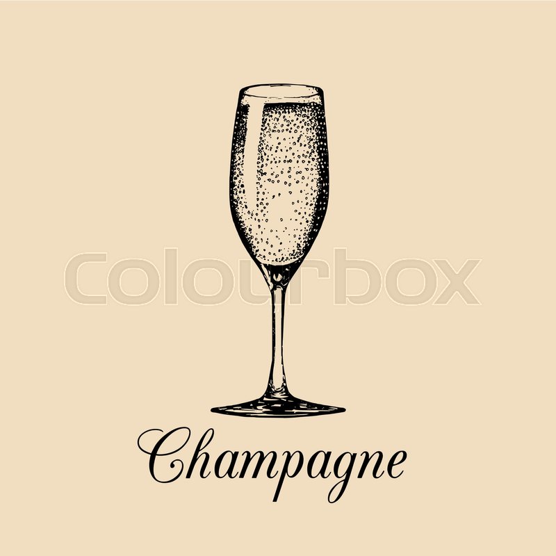 800x800 Champagne Glass Isolated. Vector Hand Drawn Sketch Of Spumante - Champagne Glass Sketch