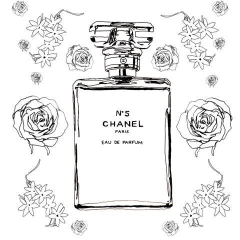 480x480 Chanel No 5 Sketch Coloring - Chanel No 5 Sketch