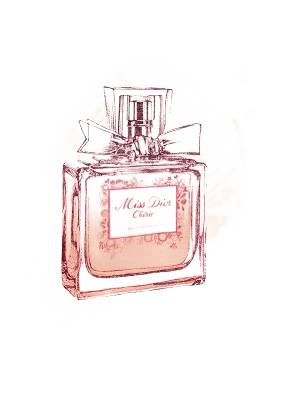 564x798 Chanel No. 5 Perfume Drawing Miss Dior - Chanel No 5 Sketch