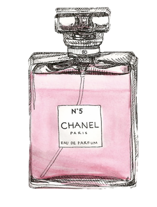 Chanel Perfume Sketch at PaintingValley.com | Explore collection of ...