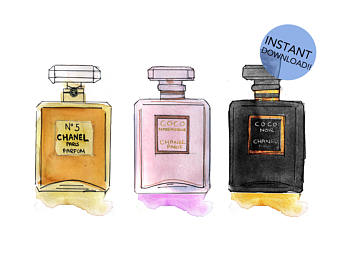 Chanel Perfume Sketch at PaintingValley.com | Explore collection of ...