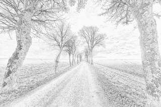 320x212 How To Change Picture To Sketch - Change Sketch