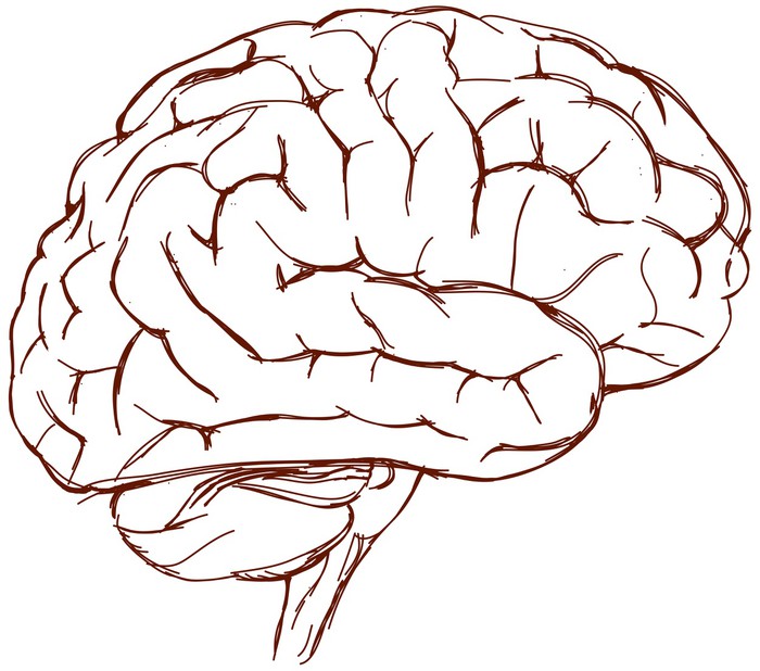 700x618 Brain Sketch Wall Mural We Live To Change - Change Sketch