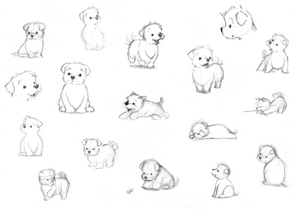 600x423 Character Development Puppies! - Character Development Sketch
