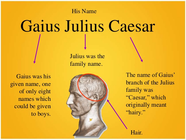 who is not a flat character in the tragedy of julius caesar?