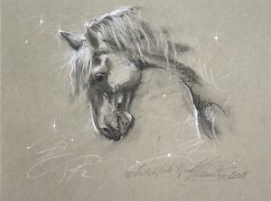 300x223 Horse Original Pastel Charcoal Drawing Fine Art Originals - Charcoal Horse Sketch