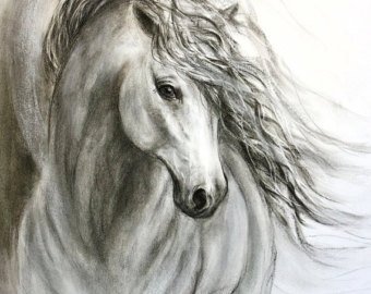 340x270 Horse Drawing Etsy - Charcoal Horse Sketch