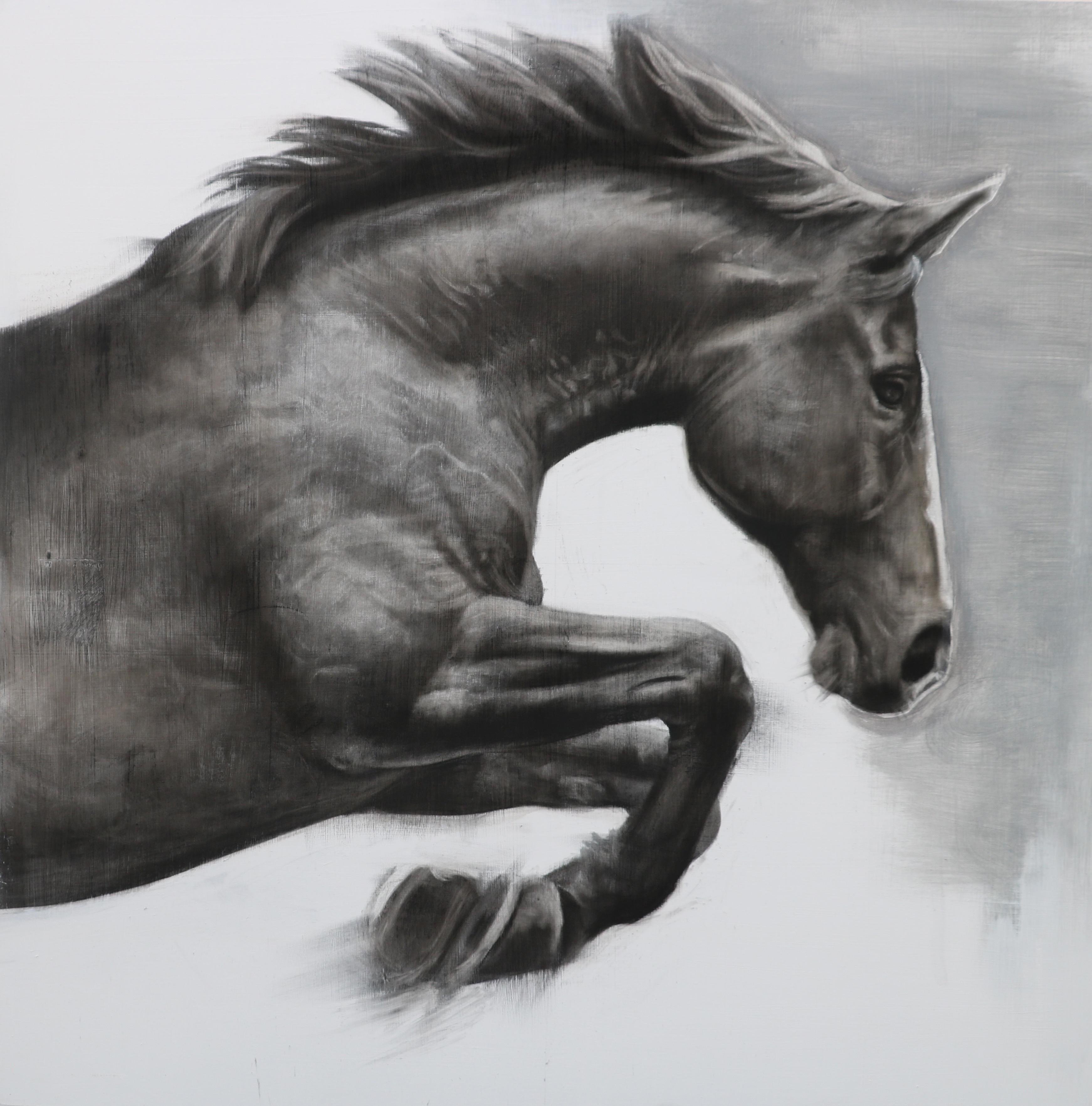 3484x3530 Patsy Mcarthur - Charcoal Horse Sketch