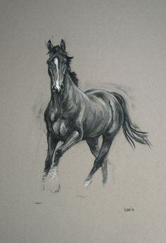 236x344 Pencil Drawings Of Horses Horse Pencil Drawings Horses - Charcoal Horse Sketch