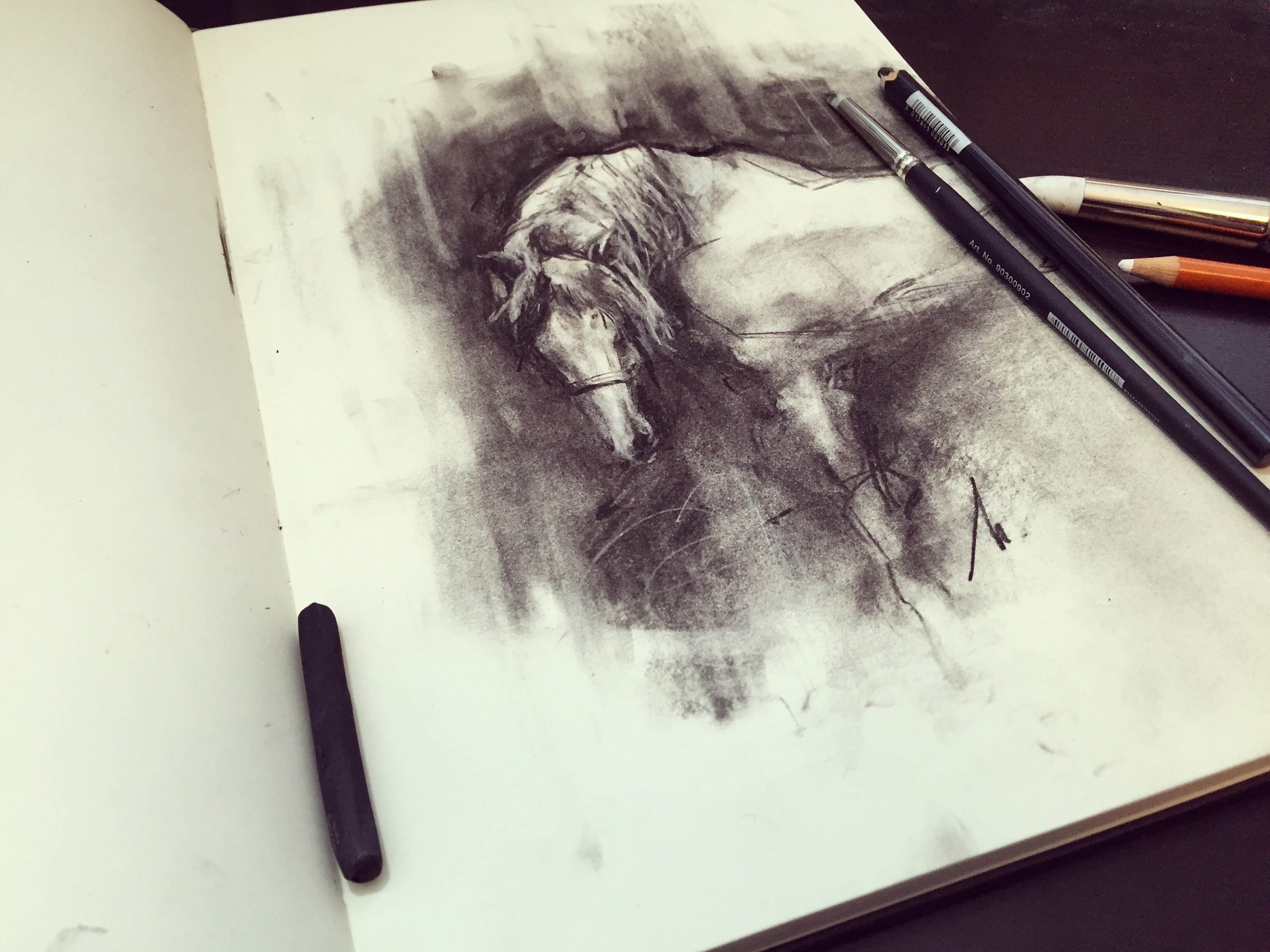 3264x2447 Charcoal Horse Demo - Charcoal Horse Sketch