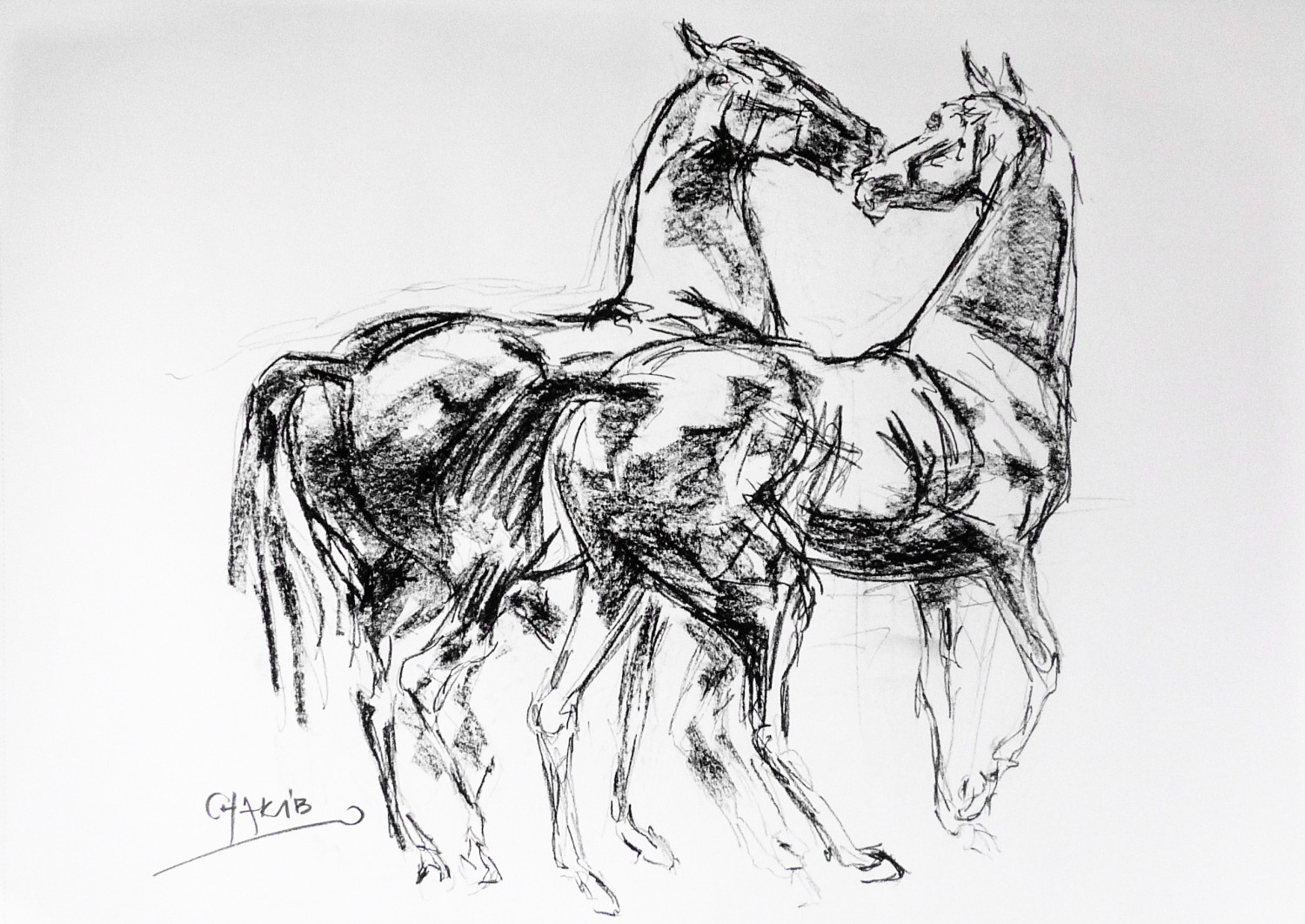 1500x1062 The Kiss. Horse Etude 1. Chakib Benkara Official Site - Charcoal Horse Sketch