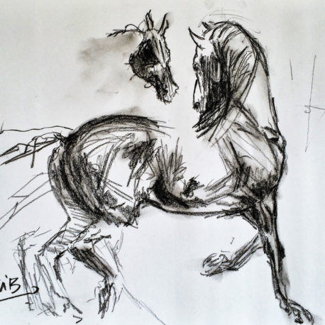 458x458 The Kiss. Horse Etude 2. Chakib Benkara Official Site - Charcoal Horse Sketch