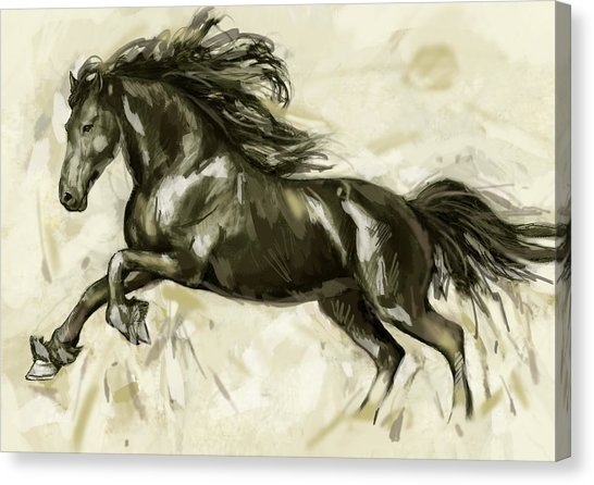 546x446 Charcoal Horse Canvas Prints Fine Art America - Charcoal Horse Sketch