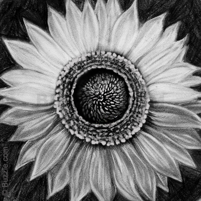 400x400 Colors Of Soot Tips On How To Draw With Charcoal - Charcoal Sketch Ideas