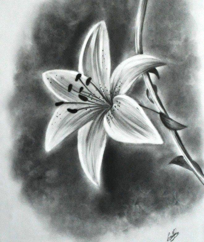 Charcoal Sketch Ideas at PaintingValley.com | Explore collection of ...