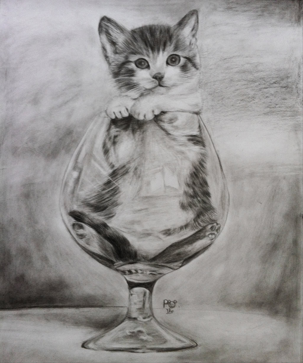 1024x1229 Pencil Sketch Charcoal Painting Cat Cat Drawings, Art Ideas - Charcoal Sketch Ideas