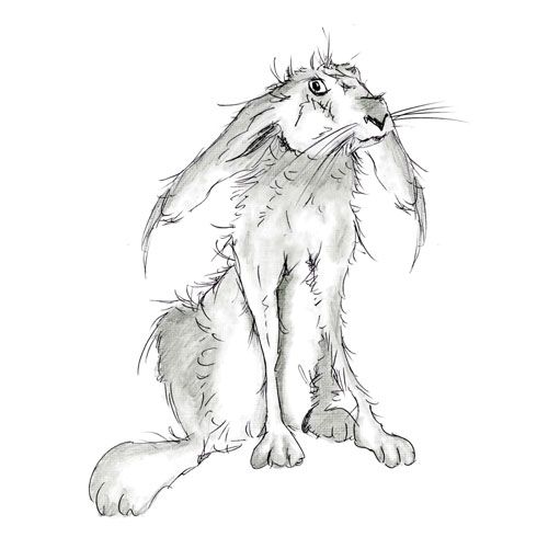 490x490 Doodledoo Personalised Charity Cards Zhivotnye - Charity Sketch