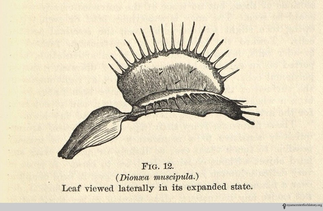 666x436 Darwin And Behavior Books, Health And History - Charles Darwin Sketches