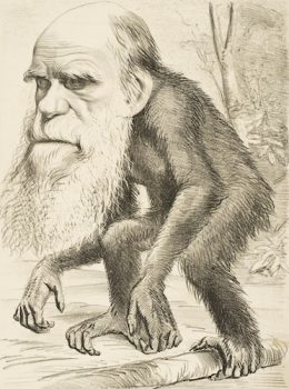 260x350 The Problem Writing A Book About Charles Darwin The Friends Of - Charles Darwin Sketches