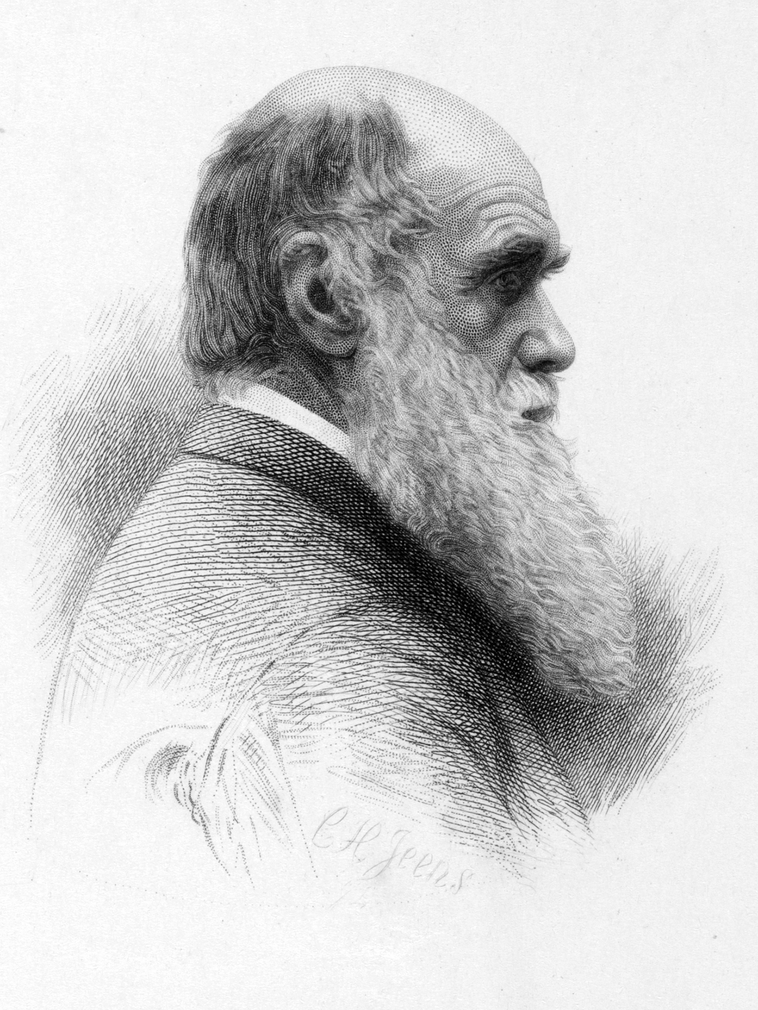 1502x2000 Spiritualism Darwin Correspondence Project - Charles Darwin Sketches