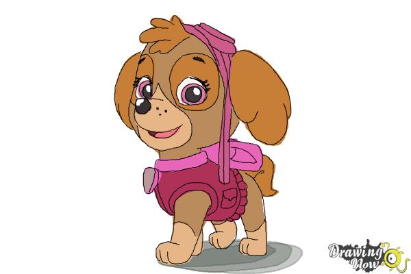 600x400 How To Draw Skye From Paw Patrol - Chase Paw Patrol Sketch