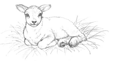 400x215 Silver Apples Of The Moon Sketch Check - Check Sketch