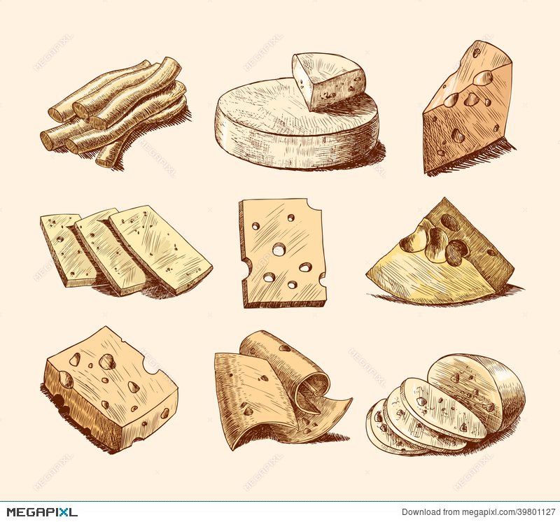 800x746 Cheese Sketch Collection Illustration 39801127 - Cheese Sketch