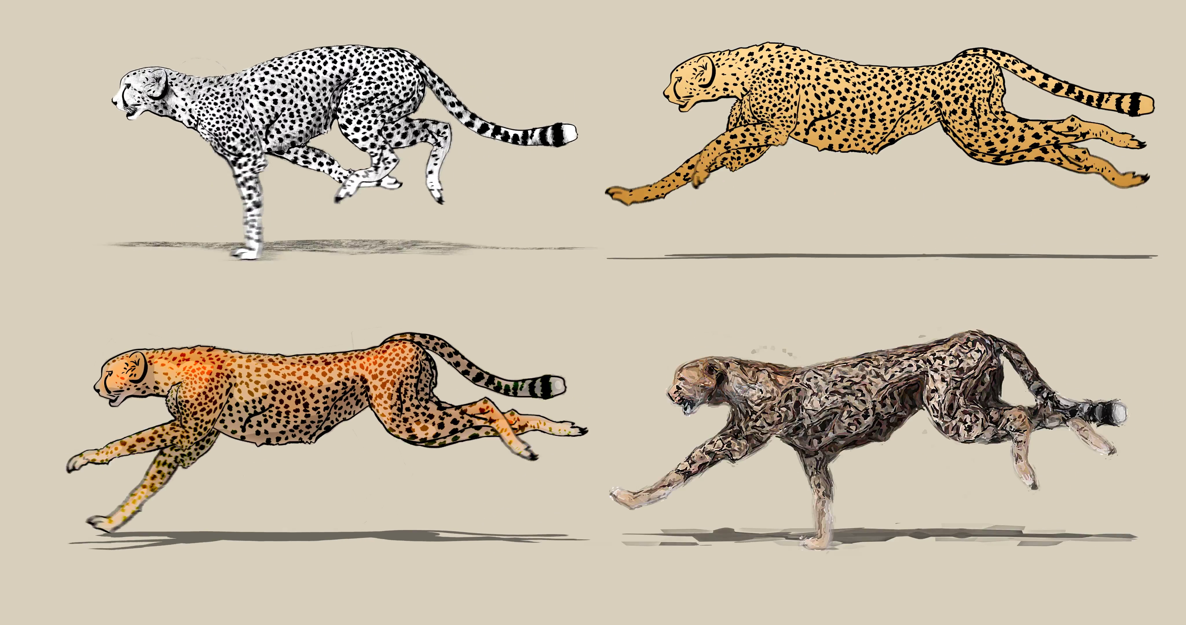 Cheetah Running Sketch at Explore collection of