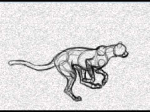 480x360 Cheetah Run Animation - Cheetah Running Sketch