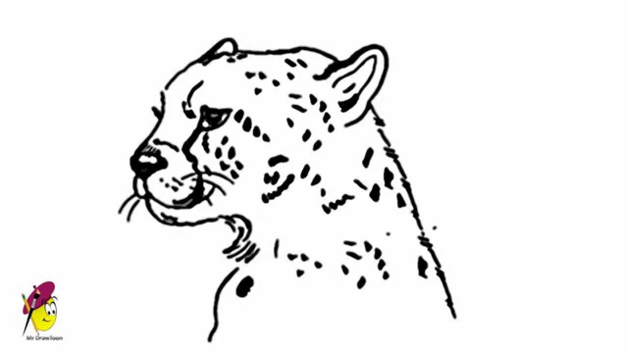 1280x720 Cheetah - Cheetah Sketch