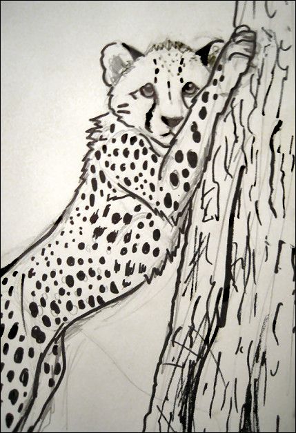 429x628 Cheetah Sketch 2 By Jezarae Arts Stuffs In 2018 - Cheetah Sketch