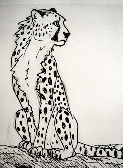402x546 Cheetah Sketch By Deception On @ - Cheetah Sketch